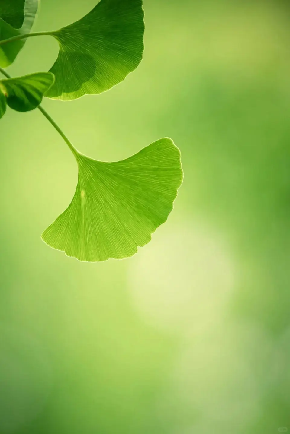 林麓川泽 适时而眠_林麓天下适时而眠是什么意思_适时而眠是什么意思