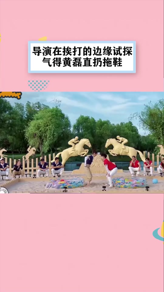 配音动画黄磊为什么不火_黄磊配音_黄磊为动画配音