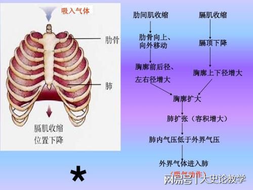 试卷初中考试软件有什么_有初中考试试卷的软件_试卷初中考试软件有哪些