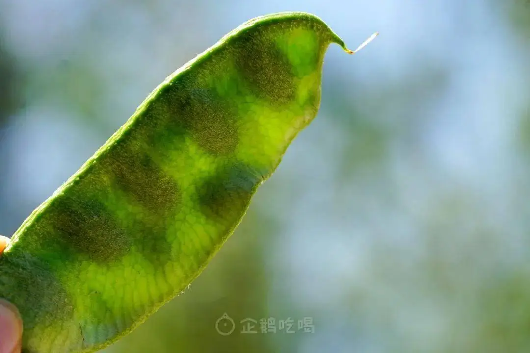 青岛老师好教育_青岛汇众教育学员贷款_青岛汇众教育好不好