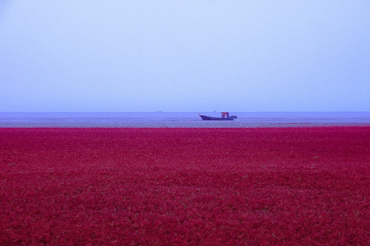 红海滩里鲅鱼圈的地图_鲅鱼圈红海滩在哪_鲅鱼圈红海新区地图