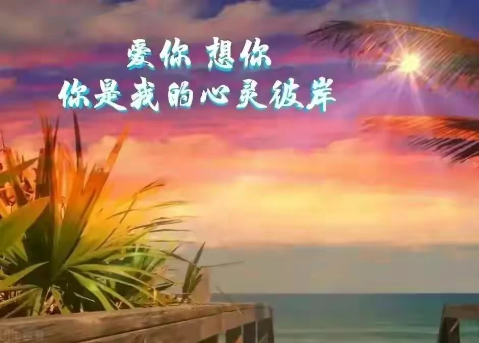 字开头的歌词歌曲_你字开头的歌曲_歌曲开头字幕