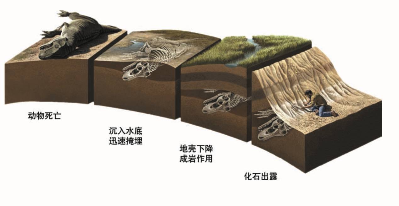 满级先祖要多少能量块_黄钻7级升级到8级要多久_球球大作战宇宙能量块