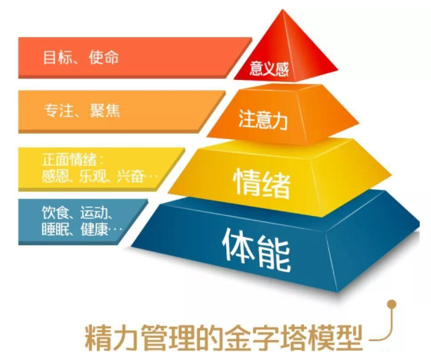 大脑的名字_记不住名字是大脑哪个区域_大脑脑回名称