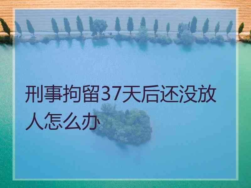 37天放人会通知家属吗_放人通知家属吗_通知家属的情况