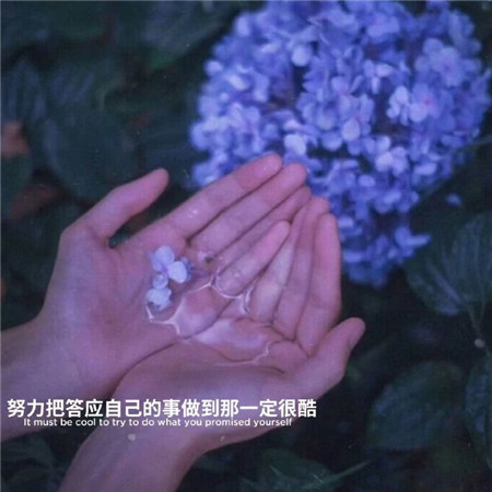 想恋爱软件_恋爱软件哪个好_恋爱软件有用吗