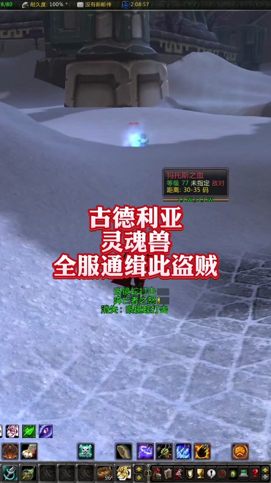 wow7.35灵魂兽有用吗_wow灵魂兽技能不一样吗_tbc灵魂兽