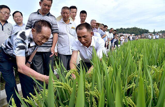 重生特殊年代带空间顿粮_重生空间粮食_空间有粮食的重生或穿越