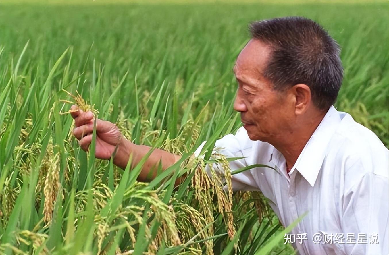 空间有粮食的重生或穿越_重生特殊年代带空间顿粮_重生空间粮食