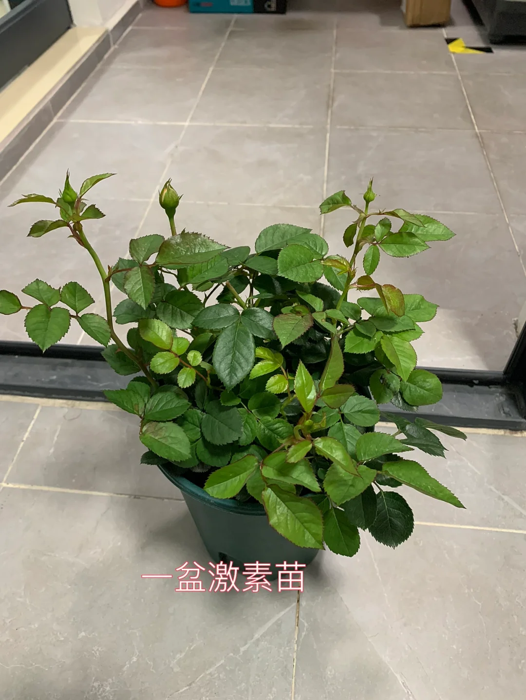 换波箱油后油门反应慢_没换波箱油是什么感觉_换波箱油后动力减弱怎么回事