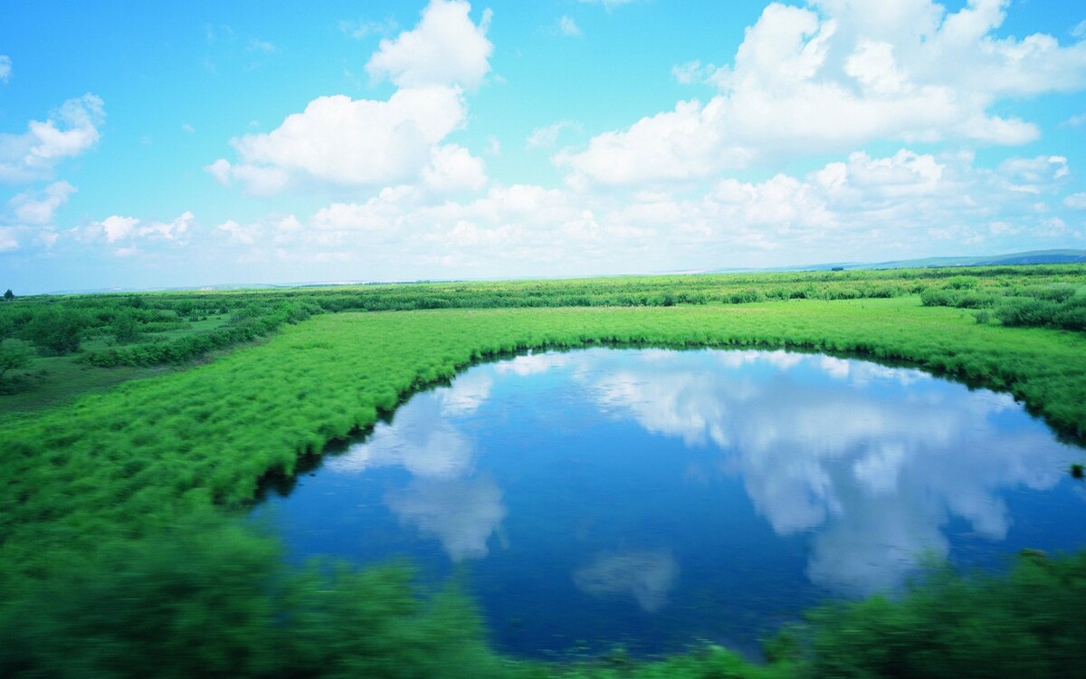 换波箱油后油门反应慢_没换波箱油是什么感觉_换波箱油后动力减弱怎么回事