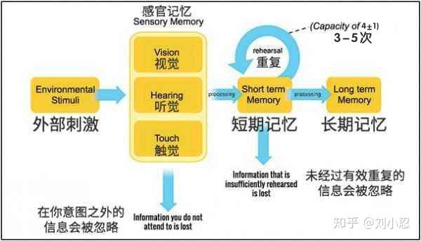 建立药代动力学模型的目的_药代动力学建模_药代动力学模型的选择