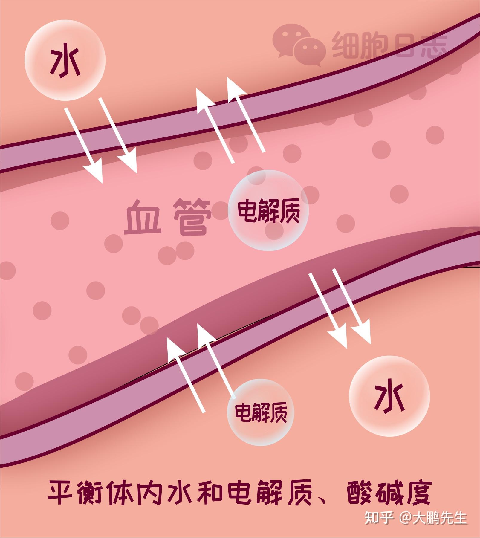 新冠病毒的知识点_新冠病毒知识点总结结构图_新冠病毒知识点总结