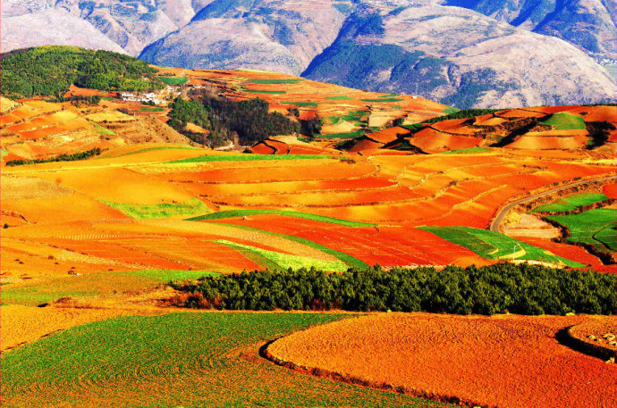 萨尔图油层_萨尔图油田_萨尔图油层