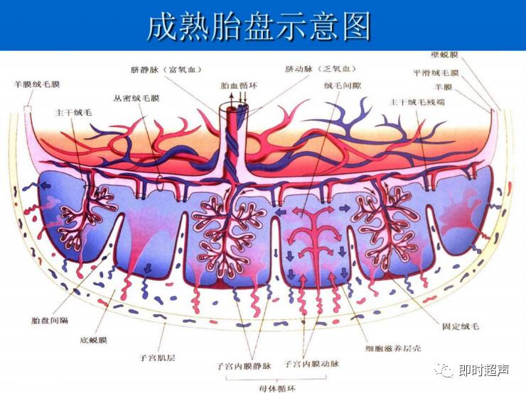 百度文库下载apk_文库百度下载软件安全吗_下载百度文库的软件