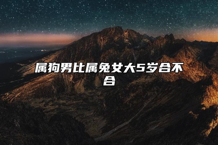 属狗的明星和名人_属的明星狗_属相狗的明星名人