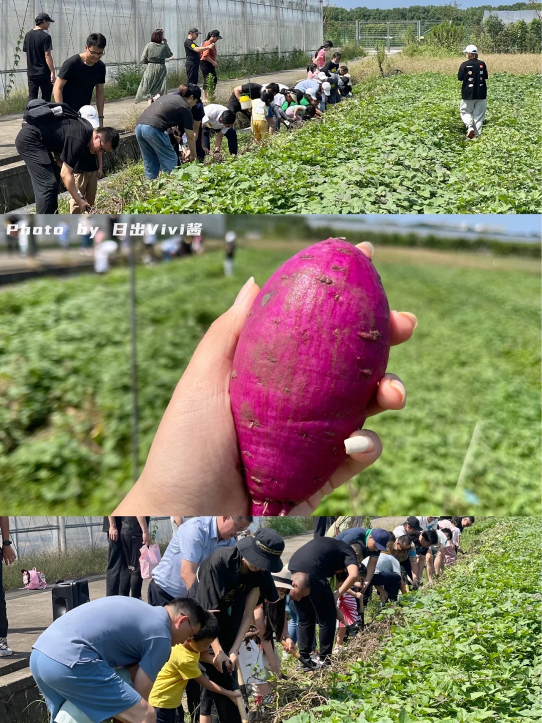 大家请抱拳游戏规则-超级有趣的抱拳游戏，简单好玩让聚会瞬间燃起来