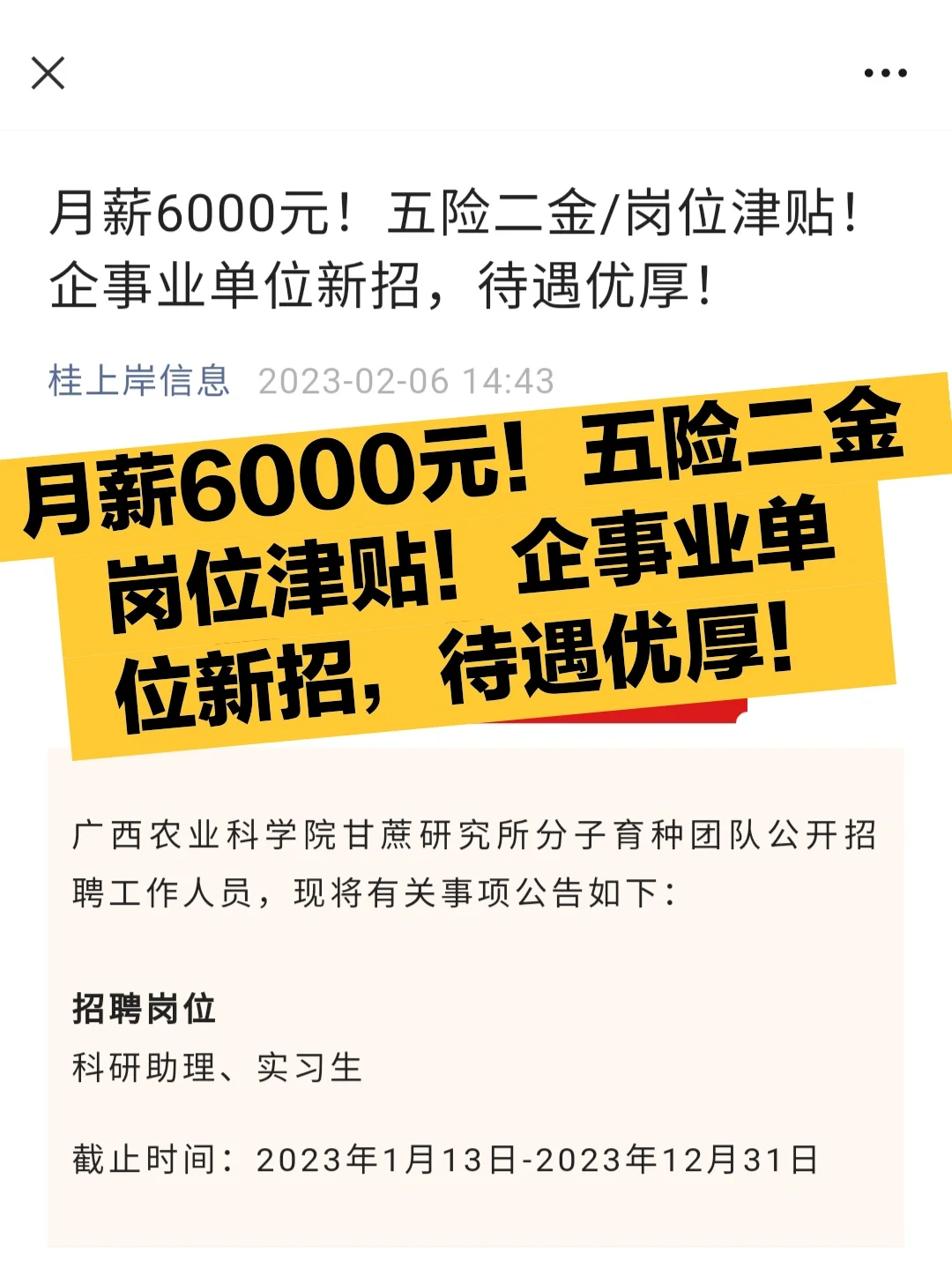 上海微创软件股份有限公司招聘_上海微创软件公司待遇_上海微创集团招聘