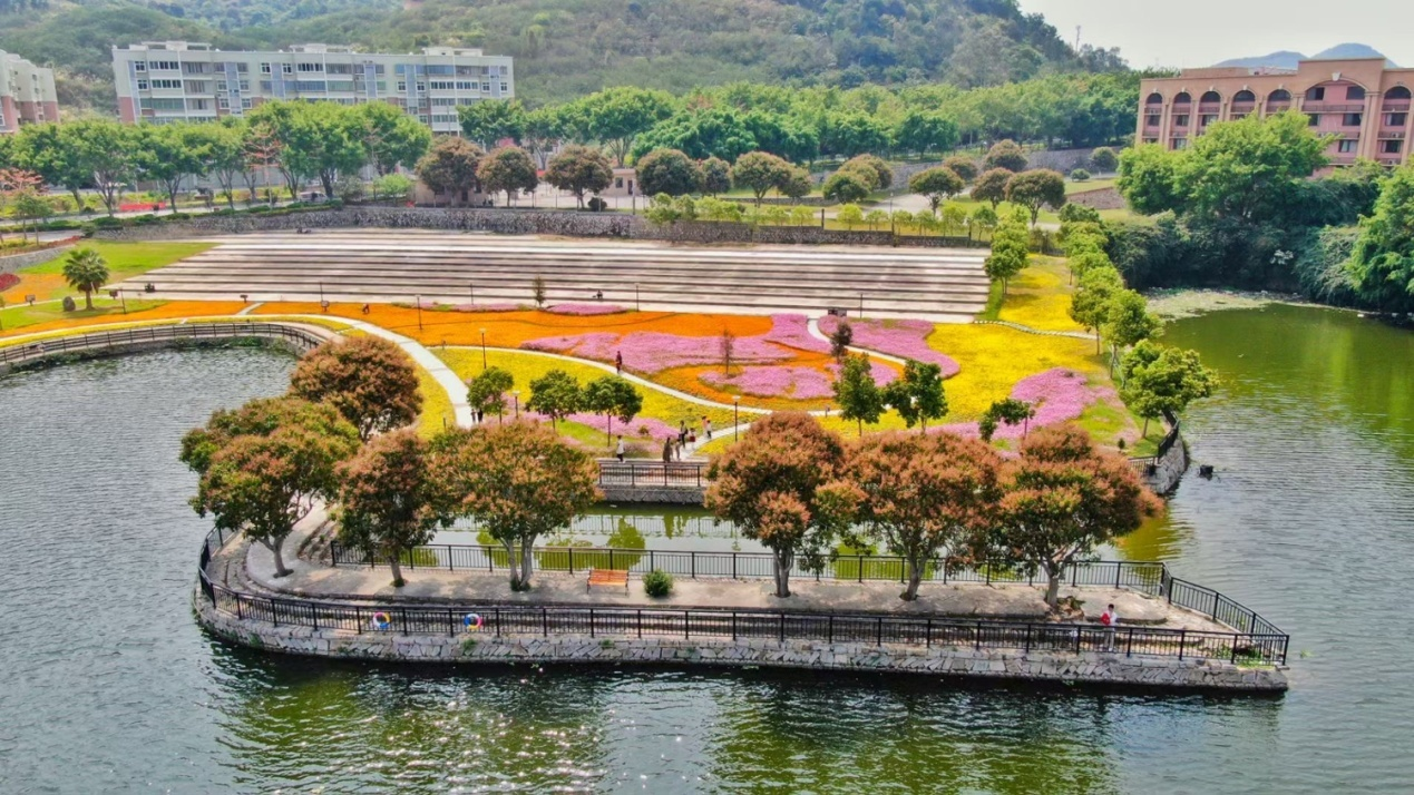 郑州洞林湖新田城划片学校_郑州市洞林湖新田城_郑州洞林湖新田城