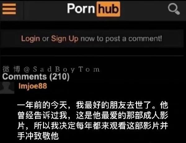 天天发微博_微博老司机每天发出车_每天发图的老司机微博