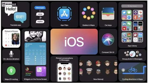 ios系统是安卓手机吗,系统差异与兼容性解析
