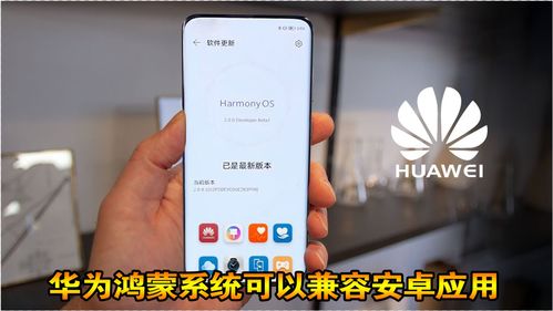 华为的系统能用安卓吗吗,实现多系统共存