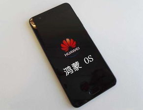 华为系统比安卓快多少了,速度比安卓快三倍